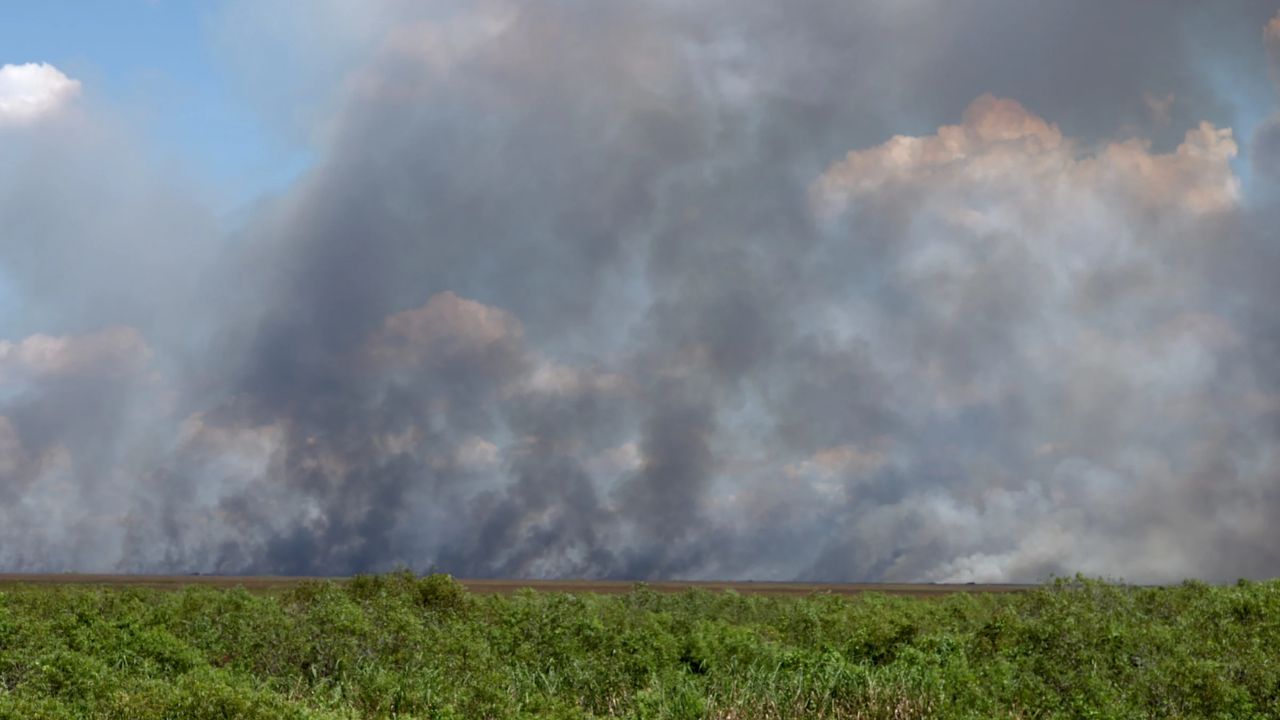 Thousands of Acres on Fire Just Miles from Miami — Here's How Close It's Getting to Your Neighborhood