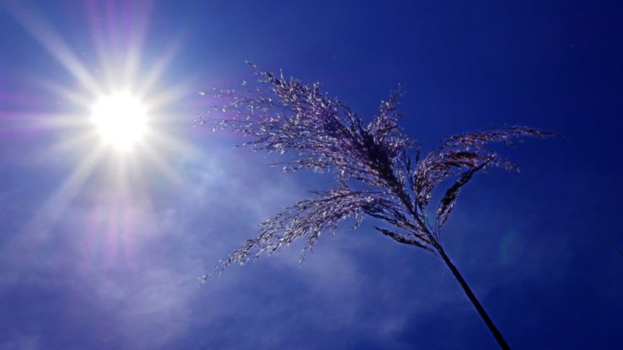 Tonight feels like spring, but Wednesday brings the rain your garden’s been waiting for