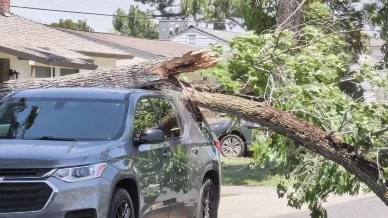 Trees Are Crashing Down on Cars and Fires Are Spreading — Sacramento Families Share What They Saw