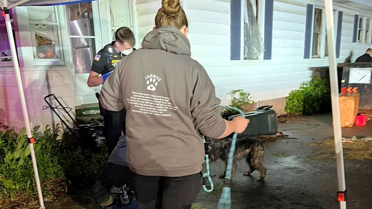 27 Dogs Rescued From Upstate New York Property, Man Faces Multiple Animal Welfare Charges